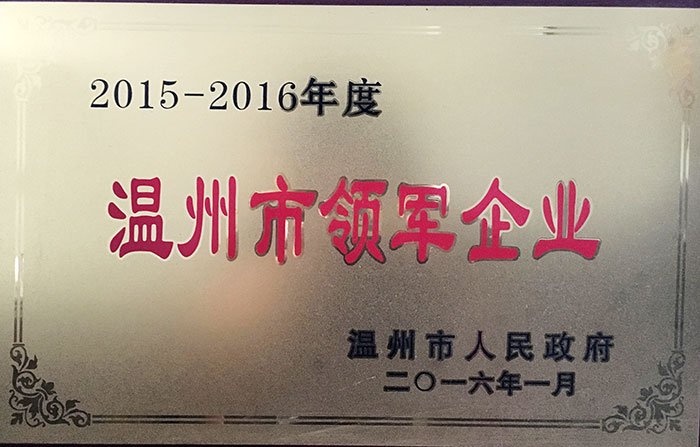 2015-2016 Wenzhou Leading Enterprise