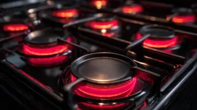 Exploring the Benefits of Concave Infrared Cooker Panels for Efficient Cooking
